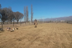 20170630_124148